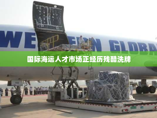 国际海运人才市场正经历残酷洗牌 国际海运人才市场正经历残酷洗牌