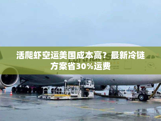活爬虾空运美国成本高？最新冷链方案省30%运费