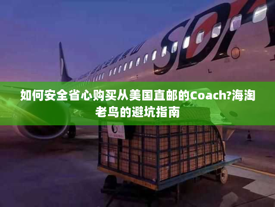 如何安全省心购买从美国直邮的Coach?海淘老鸟的避坑指南 如何安全省心购买从美国直邮的Coach?海淘老鸟的避坑指南