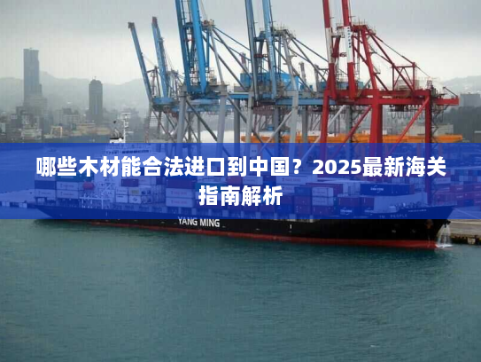哪些木材能合法进口到中国？2025最新海关指南解析