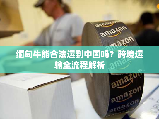 缅甸牛能合法运到中国吗？跨境运输全流程解析