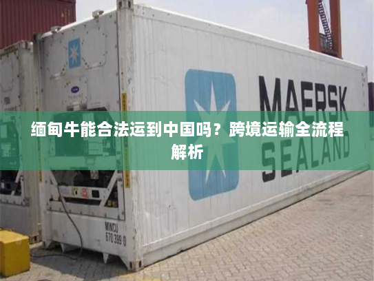 缅甸牛能合法运到中国吗?跨境运输全流程解析 缅甸牛能合法运到中国吗?跨境运输全流程解析