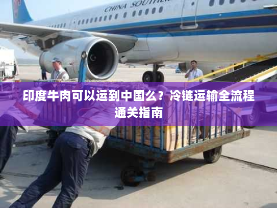 印度牛肉可以运到中国么?冷链运输全流程通关指南 印度牛肉可以运到中国么?冷链运输全流程通关指南