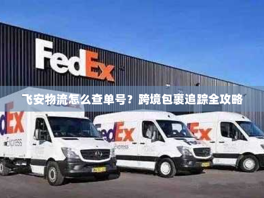 飞安物流怎么查单号?跨境包裹追踪全攻略 飞安物流怎么查单号?跨境包裹追踪全攻略