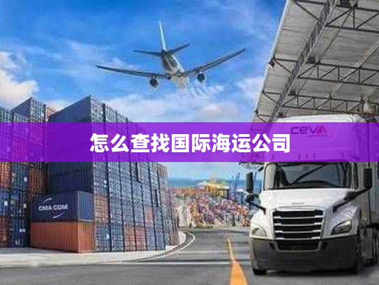 怎么查找国际海运公司