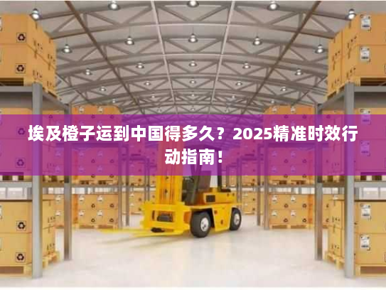 埃及橙子运到中国得多久?2025精准时效行动指南! 埃及橙子运到中国得多久?2025精准时效行动指南!