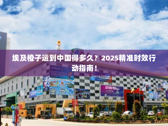 埃及橙子运到中国得多久?2025精准时效行动指南! 埃及橙子运到中国得多久?2025精准时效行动指南!