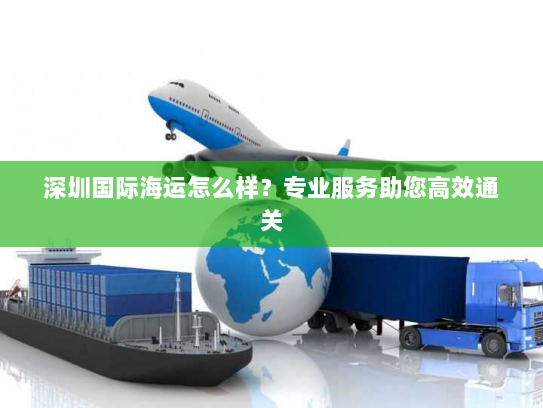 深圳国际海运怎么样?专业服务助您高效通关 深圳国际海运怎么样?专业服务助您高效通关