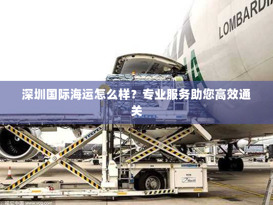 深圳国际海运怎么样?专业服务助您高效通关 深圳国际海运怎么样?专业服务助您高效通关