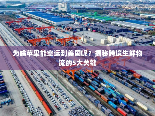 为啥苹果能空运到美国呢？揭秘跨境生鲜物流的5大关键
