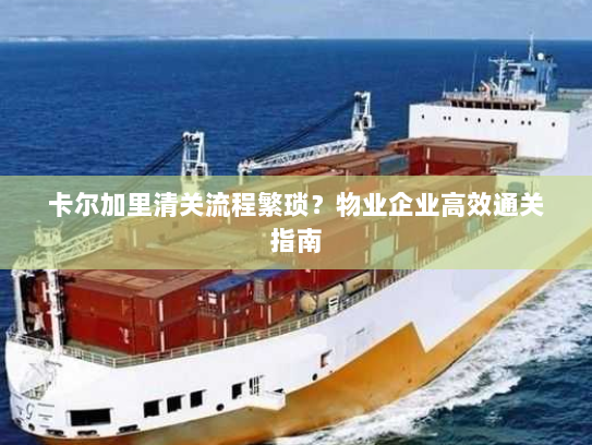 卡尔加里清关流程繁琐?物业企业高效通关指南 卡尔加里清关流程繁琐?物业企业高效通关指南