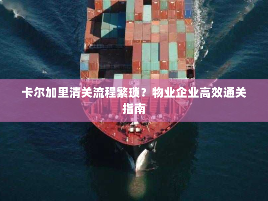 卡尔加里清关流程繁琐?物业企业高效通关指南 卡尔加里清关流程繁琐?物业企业高效通关指南