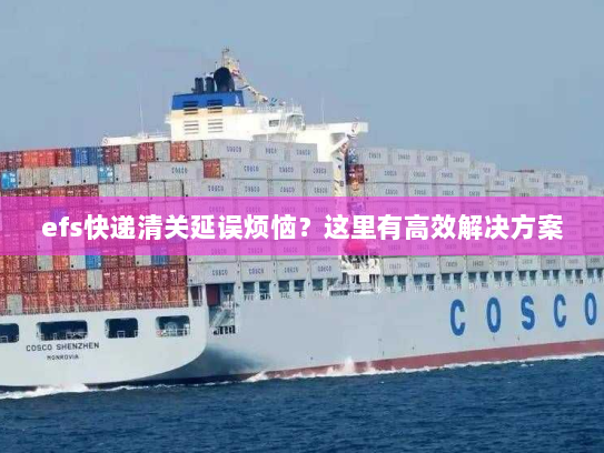 efs快递清关延误烦恼?这里有高效解决方案 efs快递清关延误烦恼?这里有高效解决方案
