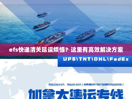 efs快递清关延误烦恼?这里有高效解决方案 efs快递清关延误烦恼?这里有高效解决方案