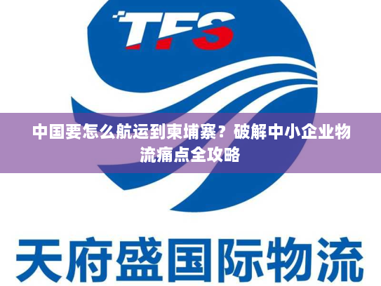 中国要怎么航运到柬埔寨?破解中小企业物流痛点全攻略 中国要怎么航运到柬埔寨?破解中小企业物流痛点全攻略