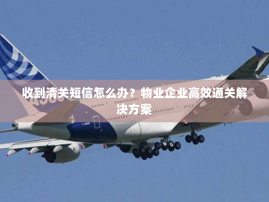 收到清关短信怎么办?物业企业高效通关解决方案 收到清关短信怎么办?物业企业高效通关解决方案