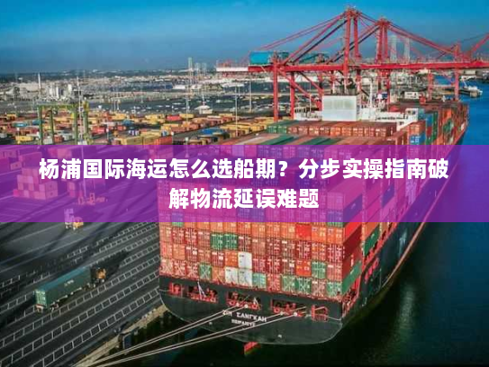 杨浦国际海运怎么选船期?分步实操指南破解物流延误难题 杨浦国际海运怎么选船期?分步实操指南破解物流延误难题