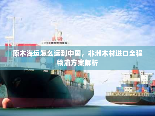 原木海运怎么运到中国，非洲木材进口全程物流方案解析