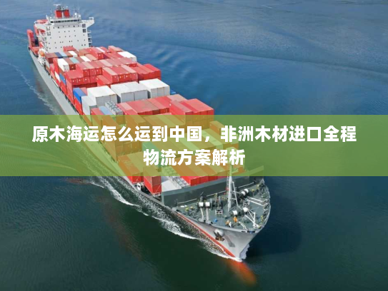 原木海运怎么运到中国，非洲木材进口全程物流方案解析
