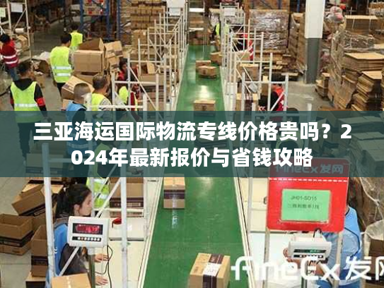 三亚海运国际物流专线价格贵吗?2024年最新报价与省钱攻略 三亚海运国际物流专线价格贵吗?2024年最新报价与省钱攻略