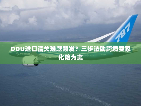 DDU进口清关难题频发?三步法助跨境卖家化险为夷 DDU进口清关难题频发?三步法助跨境卖家化险为夷