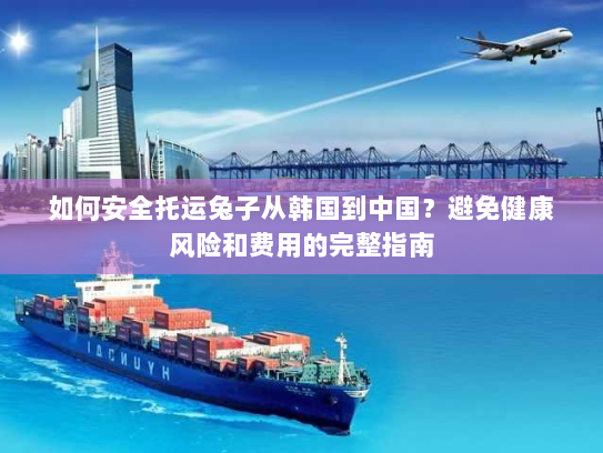 如何安全托运兔子从韩国到中国?避免健康风险和费用的完整指南 如何安全托运兔子从韩国到中国?避免健康风险和费用的完整指南