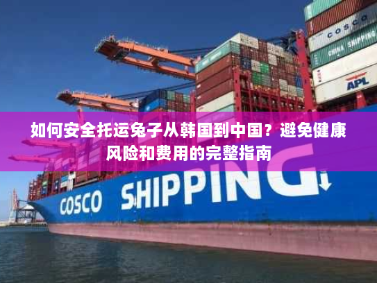 如何安全托运兔子从韩国到中国?避免健康风险和费用的完整指南 如何安全托运兔子从韩国到中国?避免健康风险和费用的完整指南