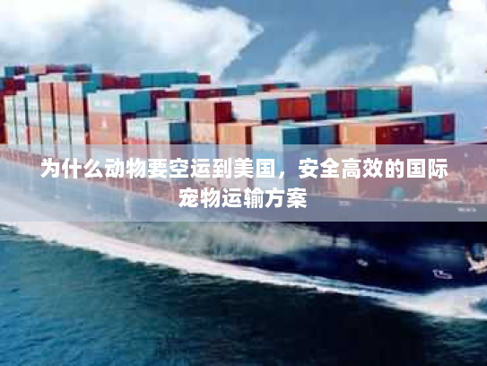 为什么动物要空运到美国，安全高效的国际宠物运输方案