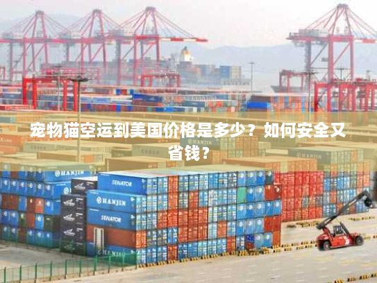 宠物猫空运到美国价格是多少?如何安全又省钱? 宠物猫空运到美国价格是多少?如何安全又省钱?