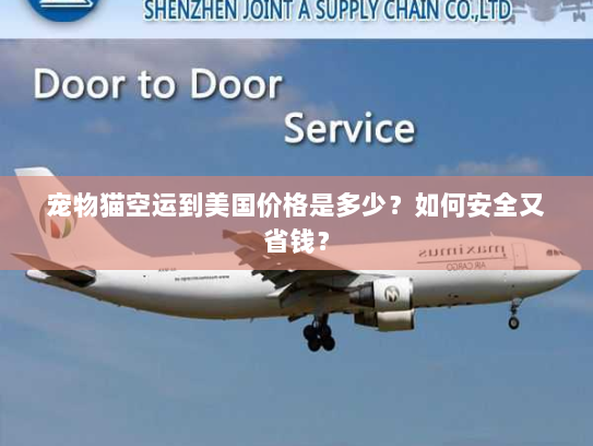 宠物猫空运到美国价格是多少?如何安全又省钱? 宠物猫空运到美国价格是多少?如何安全又省钱?