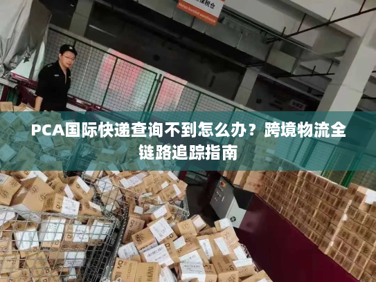 PCA国际快递查询不到怎么办?跨境物流全链路追踪指南 PCA国际快递查询不到怎么办?跨境物流全链路追踪指南
