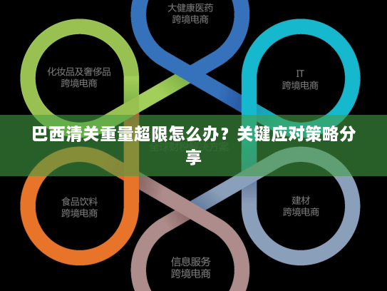 巴西清关重量超限怎么办?关键应对策略分享 巴西清关重量超限怎么办?关键应对策略分享