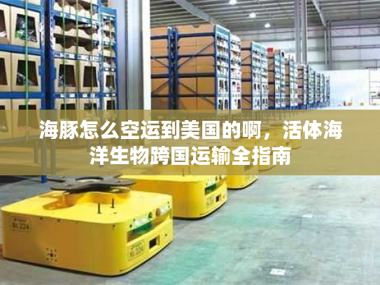 海豚怎么空运到美国的啊，活体海洋生物跨国运输全指南