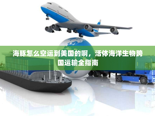 海豚怎么空运到美国的啊，活体海洋生物跨国运输全指南