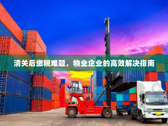 清关后缴税难题，物业企业的高效解决指南
