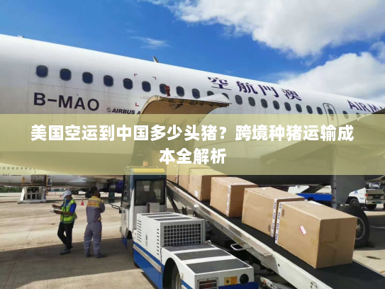 美国空运到中国多少头猪?跨境种猪运输成本全解析 美国空运到中国多少头猪?跨境种猪运输成本全解析