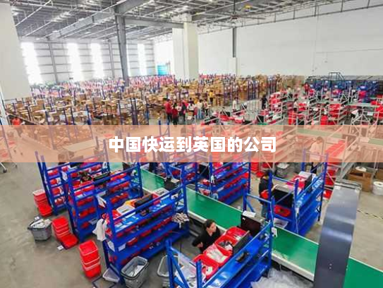 中国快运到英国的公司