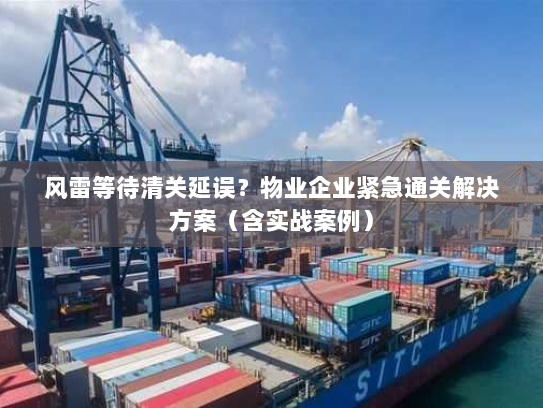 风雷等待清关延误?物业企业紧急通关解决方案(含实战案例) 风雷等待清关延误?物业企业紧急通关解决方案(含实战案例)