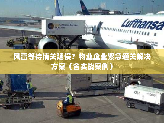 风雷等待清关延误?物业企业紧急通关解决方案(含实战案例) 风雷等待清关延误?物业企业紧急通关解决方案(含实战案例)