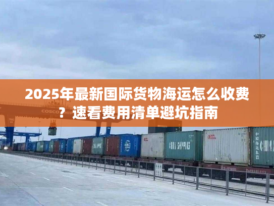2025年最新国际货物海运怎么收费？速看费用清单避坑指南
