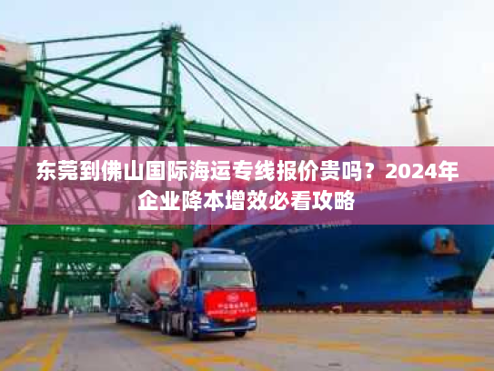 东莞到佛山国际海运专线报价贵吗？2024年企业降本增效必看攻略