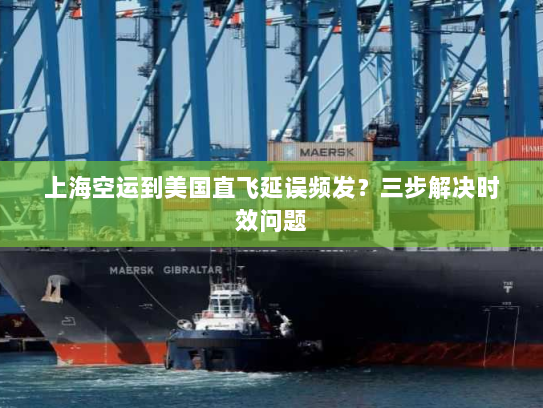 上海空运到美国直飞延误频发?三步解决时效问题 上海空运到美国直飞延误频发?三步解决时效问题