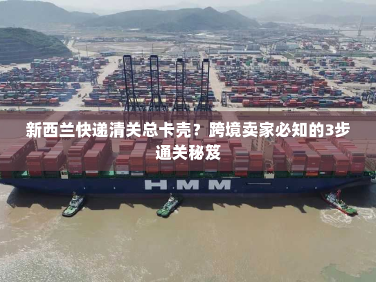 新西兰快递清关总卡壳?跨境卖家必知的3步通关秘笈 新西兰快递清关总卡壳?跨境卖家必知的3步通关秘笈