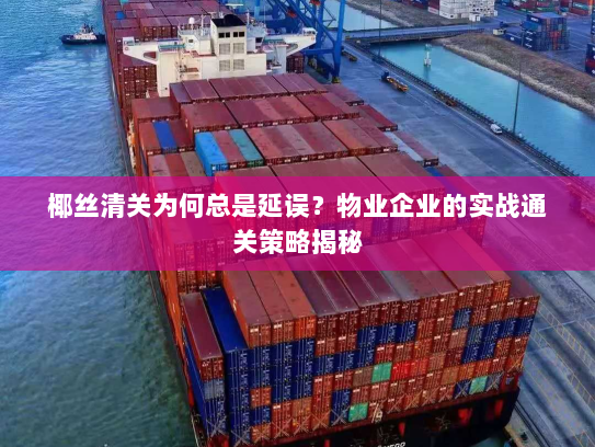 椰丝清关为何总是延误?物业企业的实战通关策略揭秘 椰丝清关为何总是延误?物业企业的实战通关策略揭秘
