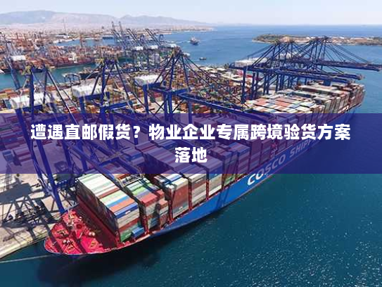 遭遇直邮假货？物业企业专属跨境验货方案落地