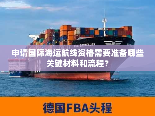 申请国际海运航线资格需要准备哪些关键材料和流程？