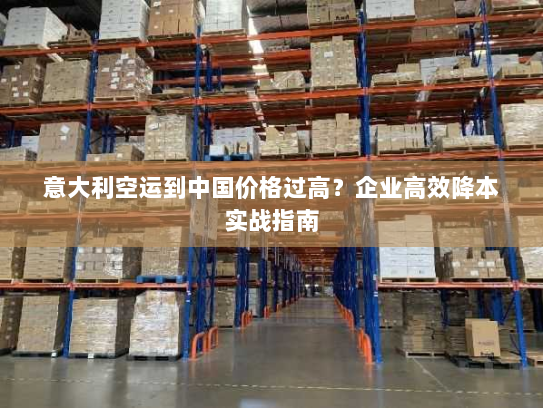 意大利空运到中国价格过高？企业高效降本实战指南