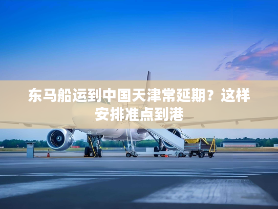 东马船运到中国天津常延期？这样安排准点到港