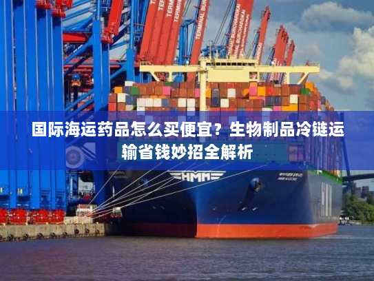 国际海运药品怎么买便宜？生物制品冷链运输省钱妙招全解析