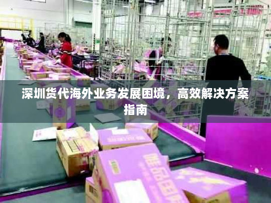 深圳货代海外业务发展困境,高效解决方案指南 深圳货代海外业务发展困境,高效解决方案指南